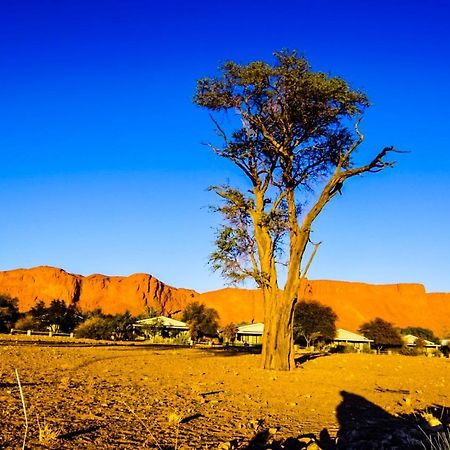 Namib Desert Campsite Solitaire Buitenkant foto