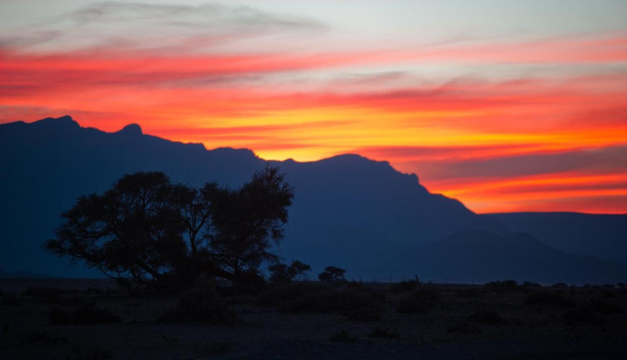Namib Desert Campsite Solitaire Buitenkant foto